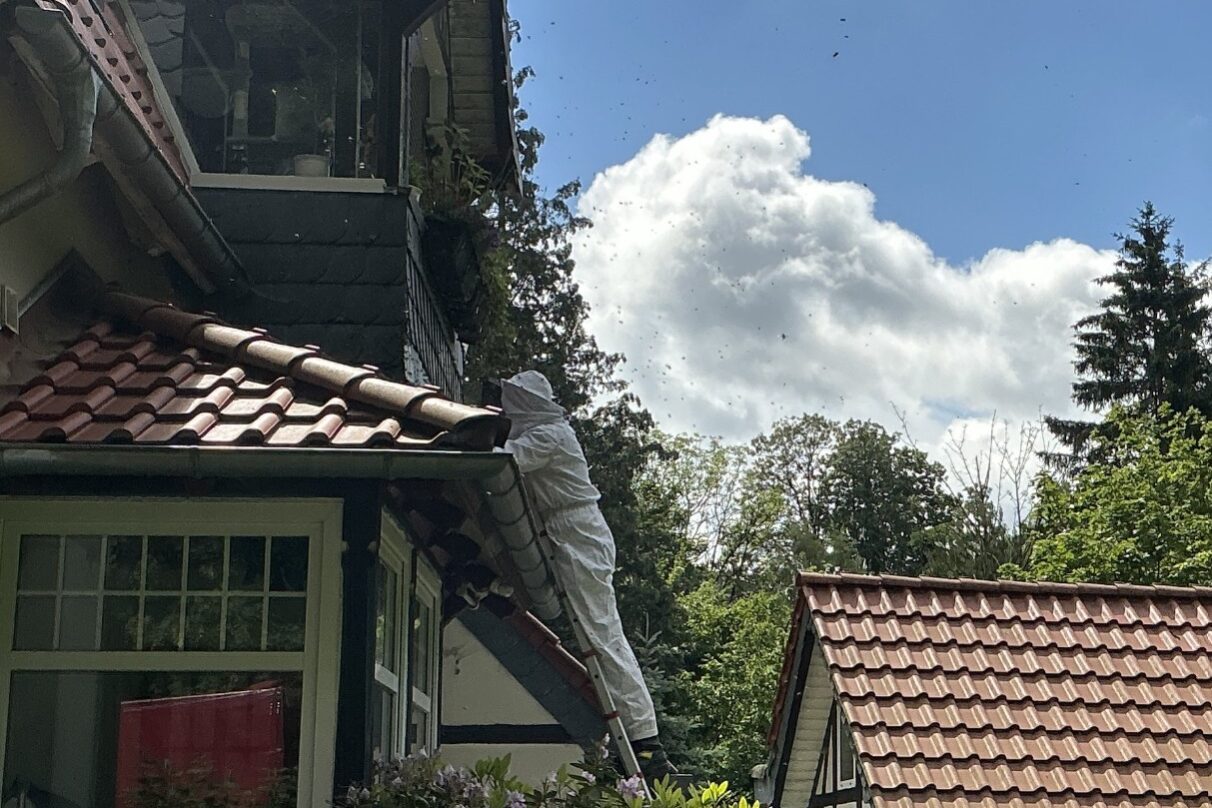 20260609_TierrettungBienen